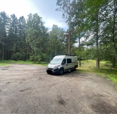 Hiding in the Swedish forest in Surte, Sweden