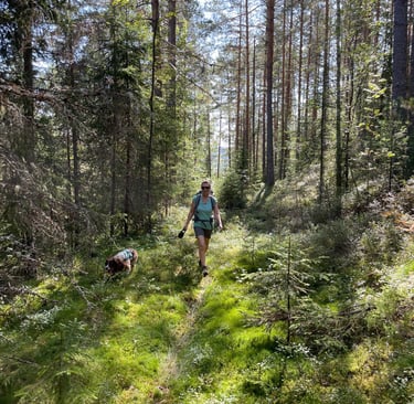 walking up in the forests around Sokna, Norway