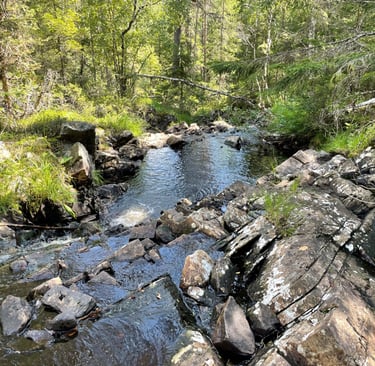 walking up in the forests around Sokna, Norway