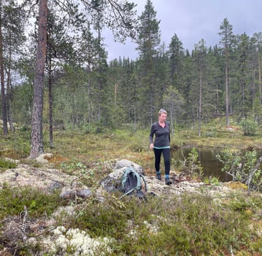 walking in the Norwegian forests walking up Klevarudnatten, Norway
