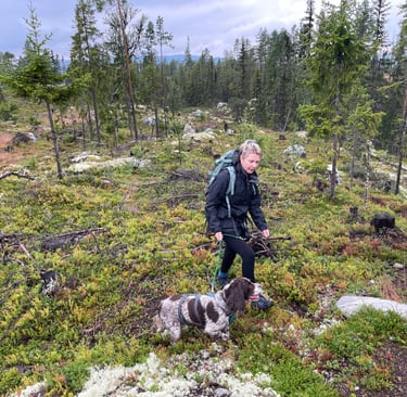walking in the Norwegian forests walking up Klevarudnatten, Norway
