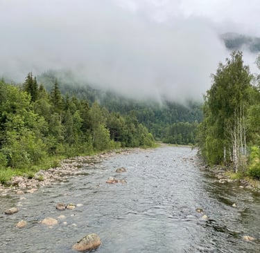 A walk in the woods around Dalen, Norway