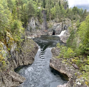 A walk in the woods around Dalen, Norway