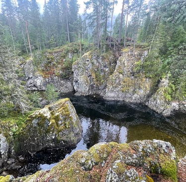 A walk in the woods around Dalen, Norway