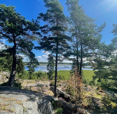 woods near Vanersborg at the southern tip of Lake Vanern, Sweden