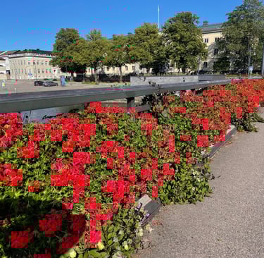 Vanesborg town, Sweden