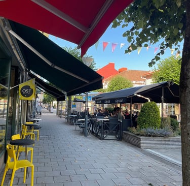 Vanesborg town, Sweden