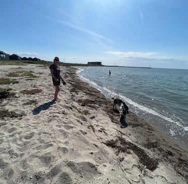 Muller Up Strand on the west coast of Zealand, Denmark