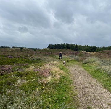 Rømø island, and the Wadden Sea National Park