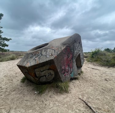 Rømø island, and the Wadden Sea National Park
