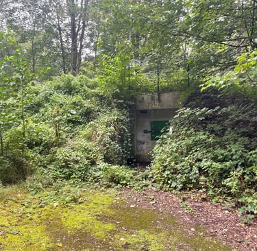 Hohenlocksted woods, Germany