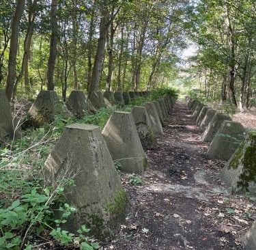 German dragons teeth defences near the village of Zoutelande, Netherlands