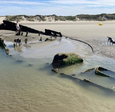 The wreck of the Claude London at Leffrinckoucke, France
