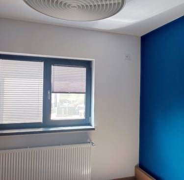 Jaluzele plisate pe comanda Sev Home