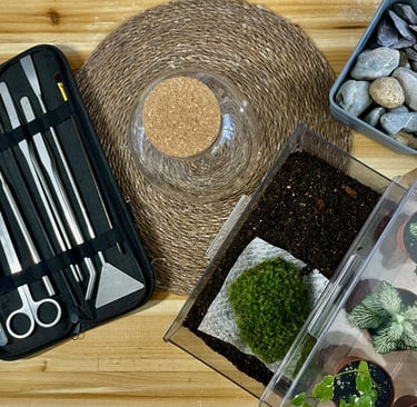 Atelier de réalisation de terrarium à Clermont-Ferrand