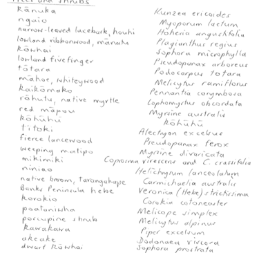 Le Bons Bay Ecological Summary