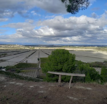 l'etang asséché de Montady