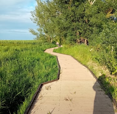 Brancaster Staithe to Brancaster marshside pathway