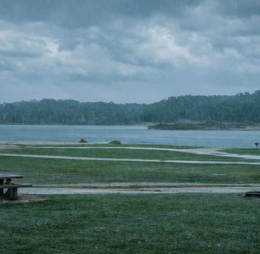 Empty picnic tables in a rainy park setting by a calm lake with a dense forest background.