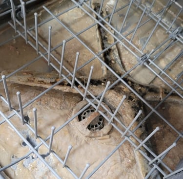 LG dishwasher repair Buena Park