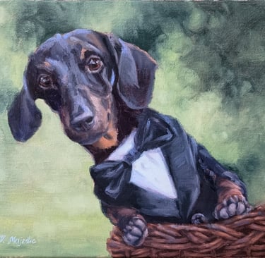 Dachshund, doxin dog pet in a wedding suit, realistic pet portrait