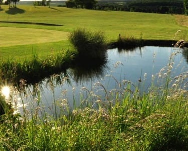 Golfteiche Reinigen Berufstaucher