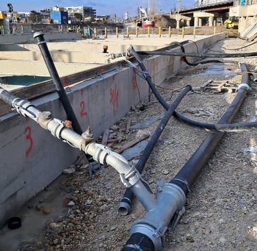 Teichreinigung Teichentschlammung Berufstaucher