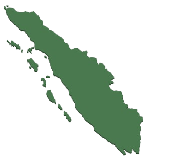 Sumatra Trekking Orangutan
