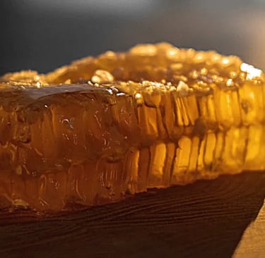 FIR Vanilla Honigwabe „Tannenperle“, griechischer Premium-Honig