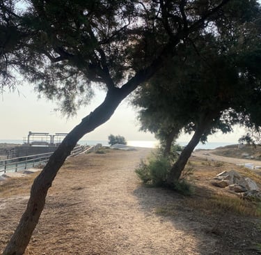 Acceso a la playa de la Goleta Tavernes