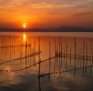 Puesta de sol en la albufera de Valencia