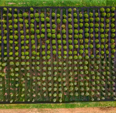 a fenced in area with a fenced in area with a fence