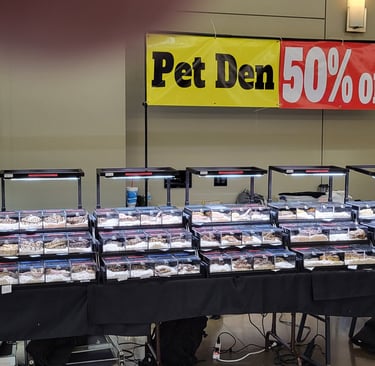 Reptile Show - Pet Den