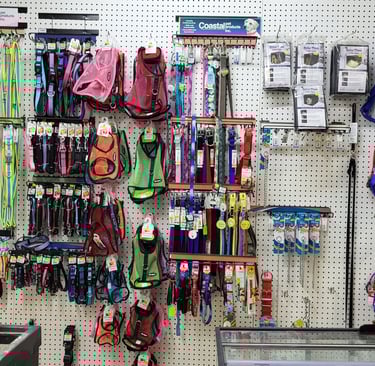 Dog collars-Pet Den