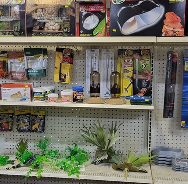 Reptile supplies