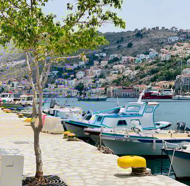 a boat docked at a dock with a tree in the background