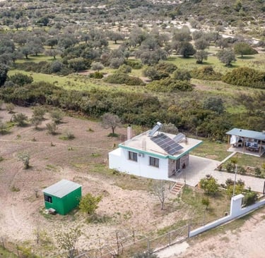 Aerial view of a white countryside house with solar panels surrounded by olive trees.