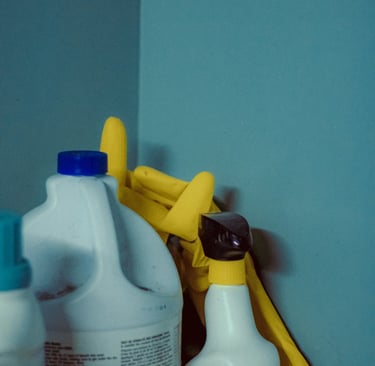 deep cleaning service supplies and detergents in rotterdam