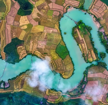 farmlands along a river from above