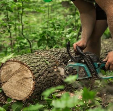 tree service edmond ok