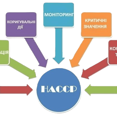дубровиця садок 1