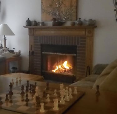 wood burning fireplace