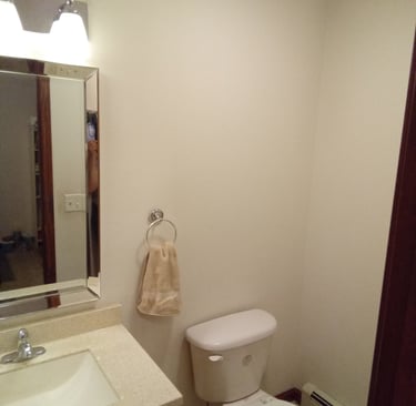1/2 bath sink, toilet and mirror vanity