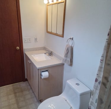2nd bathroom vanity