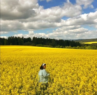 international tour packages price