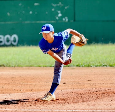 nippon blue jays pitcher