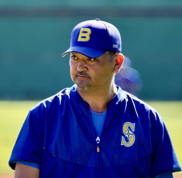 nippon blue jays sensei