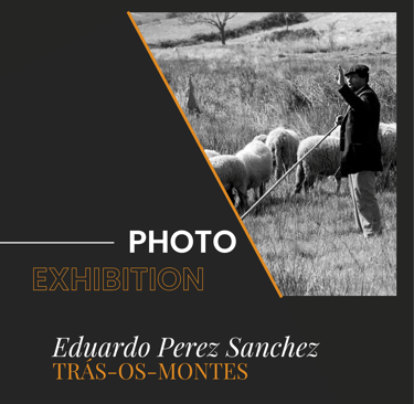 upper part of the poster about the photo exhibition