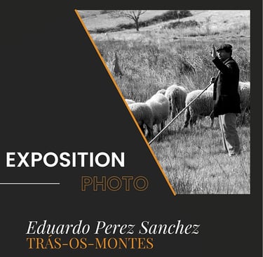 partie haute de l'affiche sur l'exposition de photos