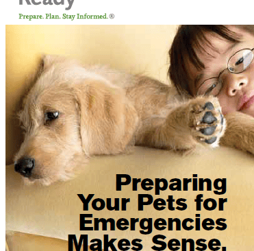 Preparing Your Pets for Emergencies Makes Sense. Get Ready Now.